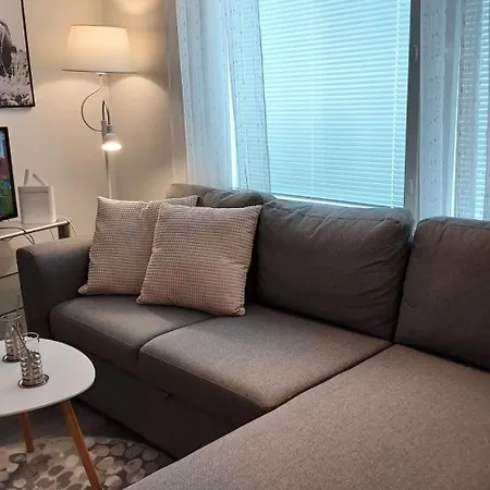 Lomayksioe C 3 Sotkamon Keskustassa Apartment *