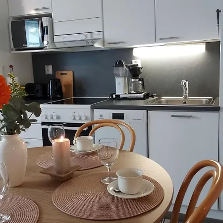 Lomayksioe C 3 Sotkamon Keskustassa Апартаменты *