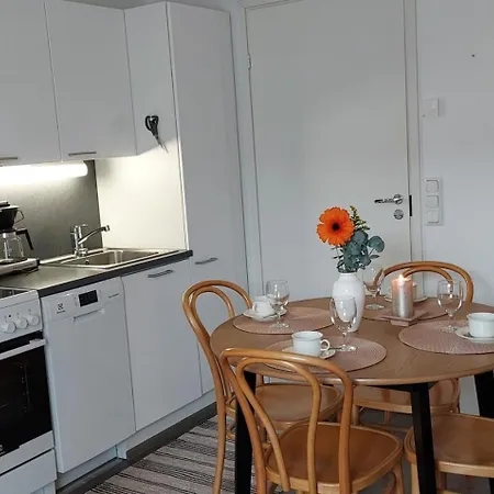 Lomayksioe C 3 Sotkamon Keskustassa Apartment *