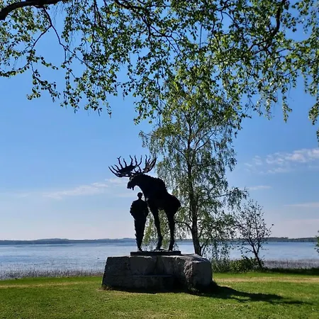 Lomayksioe C 3 Sotkamon Keskustassa 公寓 *