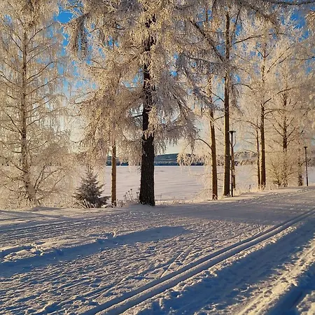 Lomayksioe C 3 Sotkamon Keskustassa Apartment Sotkamo