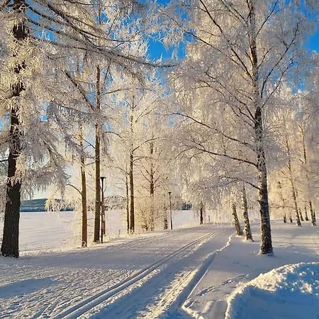 Lomayksioe C 3 Sotkamon Keskustassa *