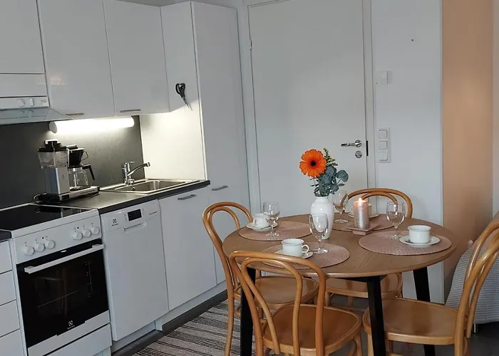 Lomayksioe C 3 Sotkamon Keskustassa Appartamento *