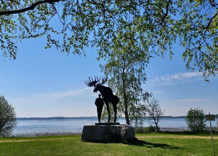 Lomayksioe C 3 Sotkamon Keskustassa Appartamento *