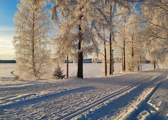 Lomayksioe C 3 Sotkamon Keskustassa Appartamento Sotkamo