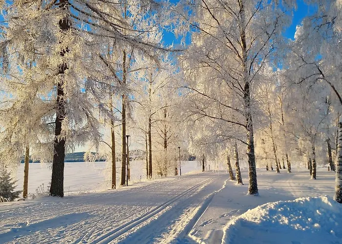 Lomayksioe C 3 Sotkamon Keskustassa *